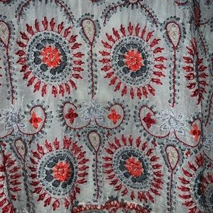 Johnny Was Semi sheer top